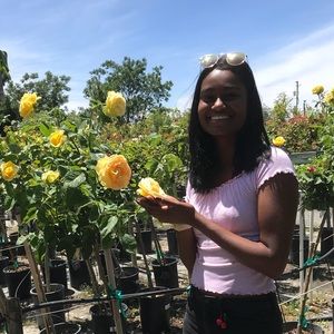 Meet your Posher, Nilashe